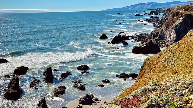 a rocky Pacific Ocean beach with cliffs