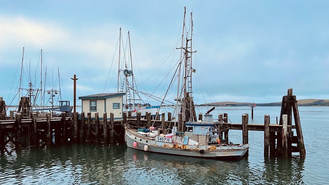 An old boat at a dock in Bodega Bay California