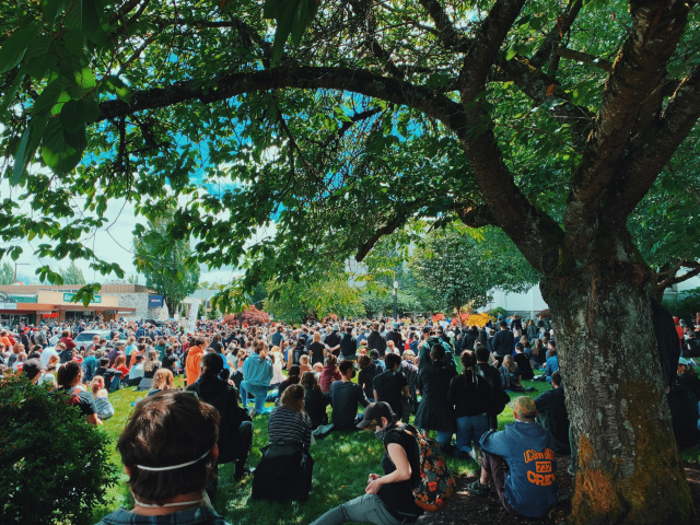 a crowd of people on the Corvallis courthouse lawn