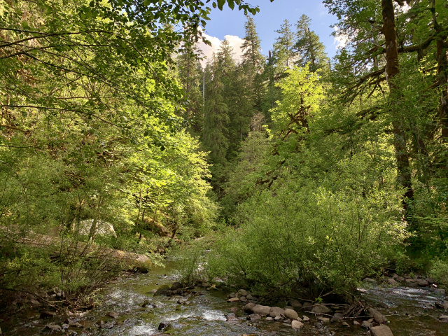 Running water in the foreground with trees and blue sky in the background