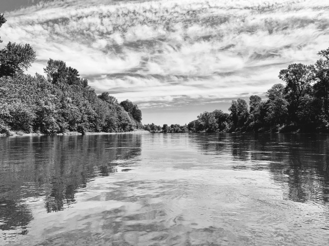 Black and white picture of Willamette River