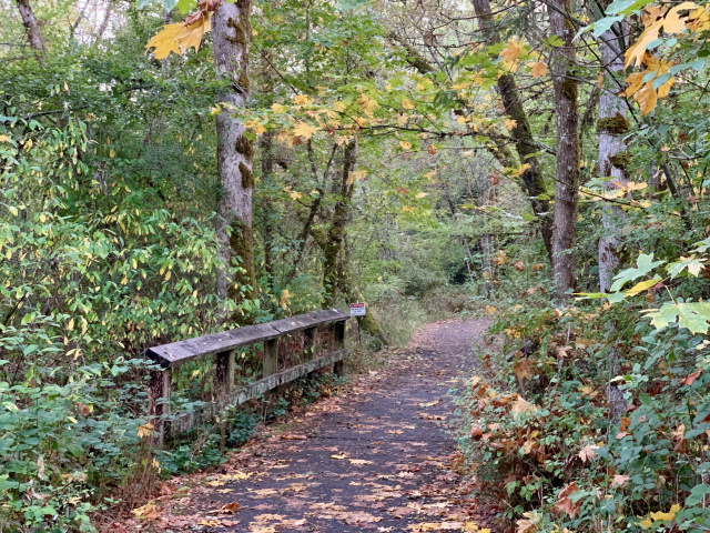 a path through trees with early fall colors