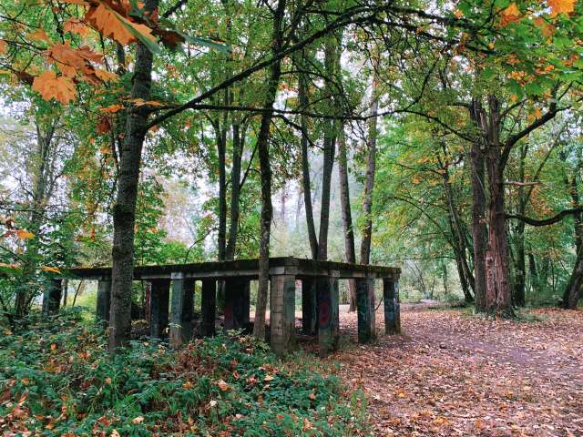 abandoned cement structure in the woods