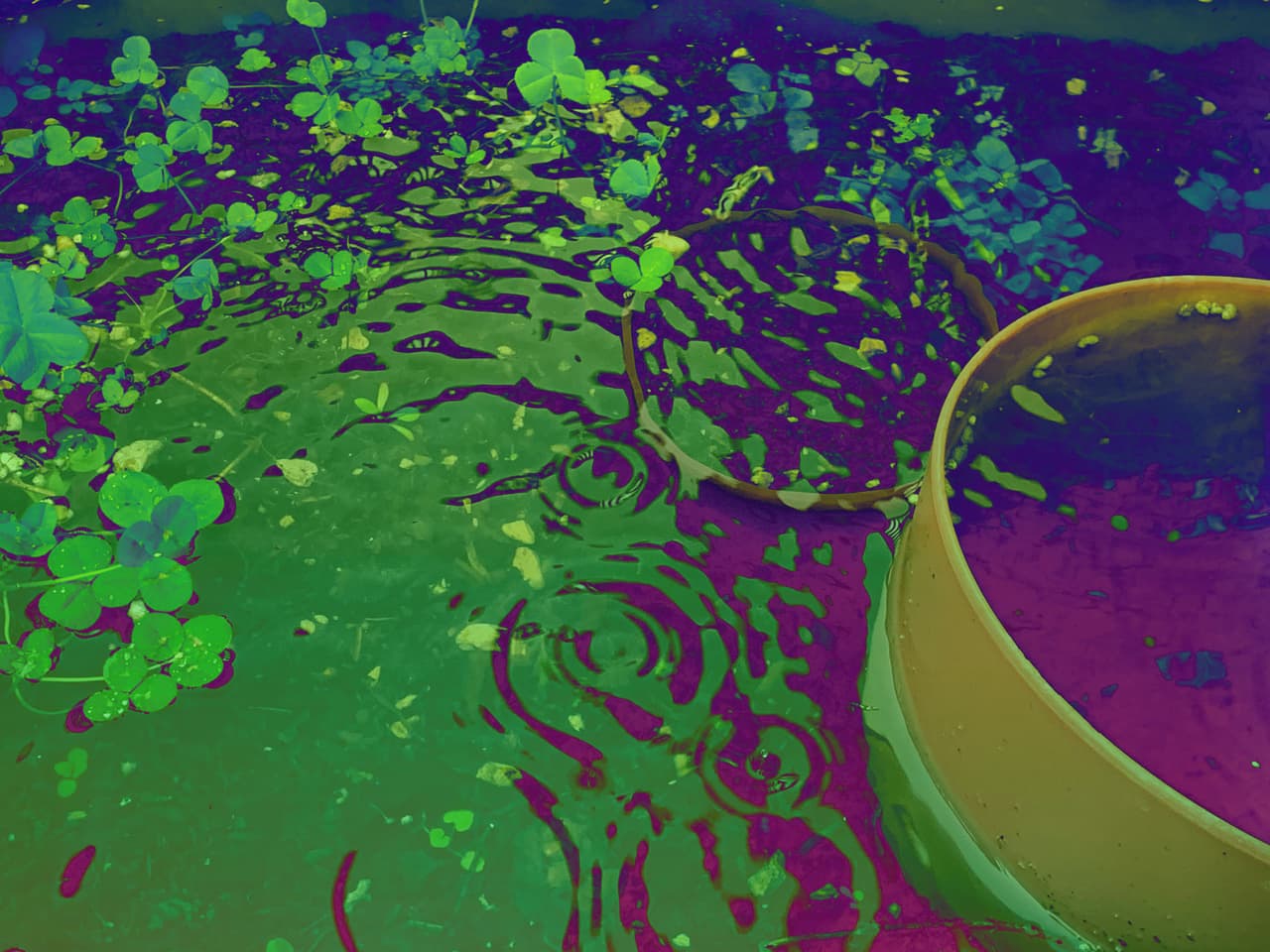 raindrops reflected on a surface with psychedelic colors