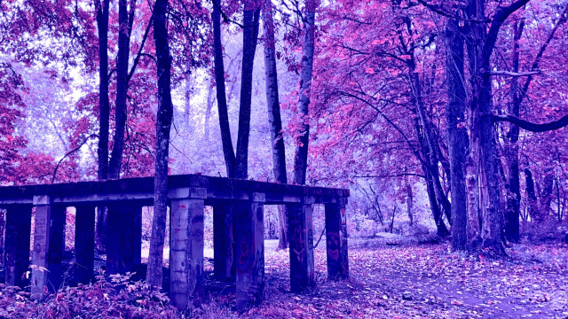 an abandonded structure in a forest with hue-shifted colors