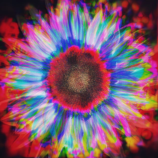 colorful digitally altered photo of a sunflower