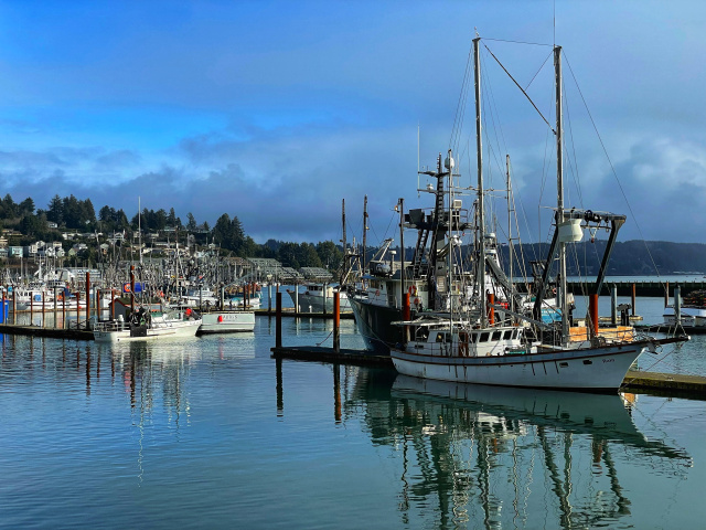 Landscape scene of Newport Bay with a small boat in the foreground and a mix of boats and hillside houses in the background